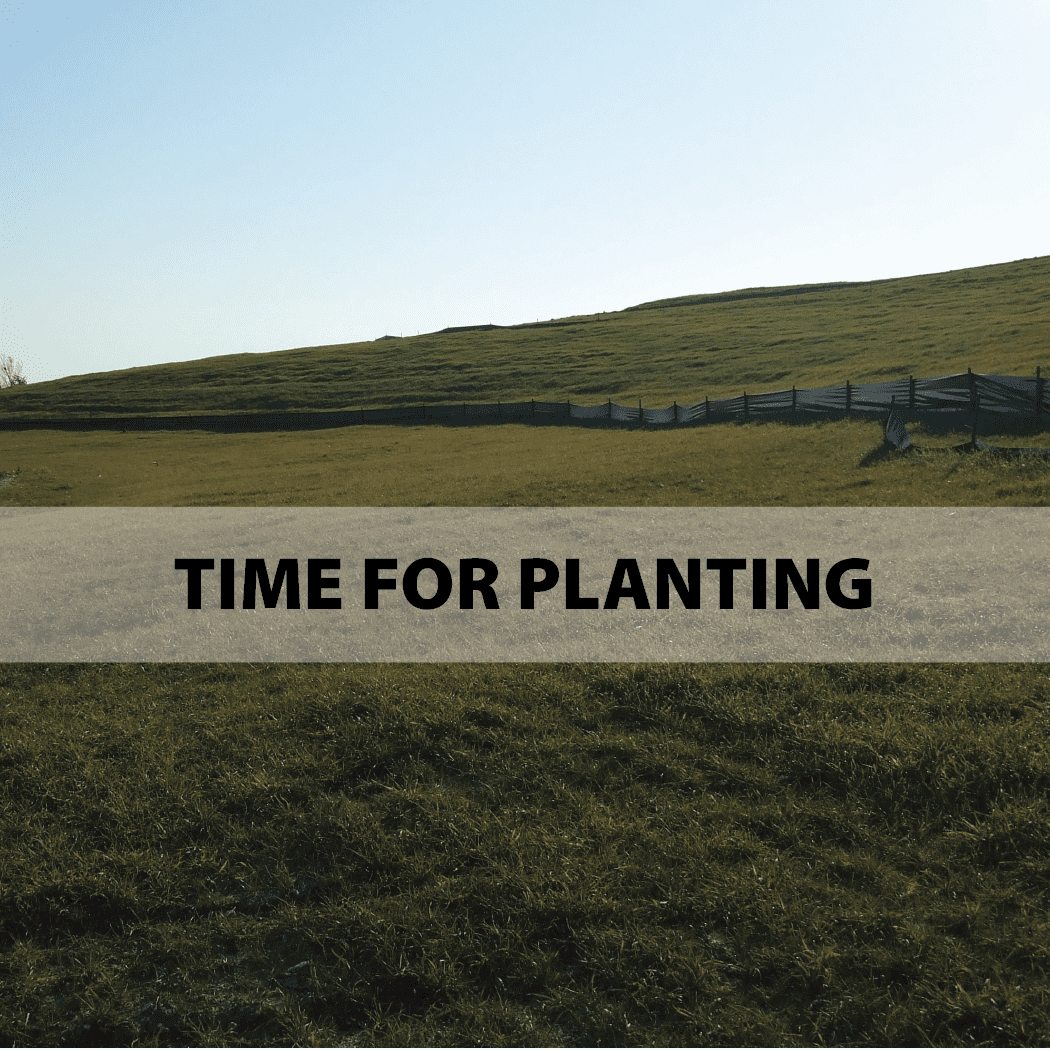Time for planting